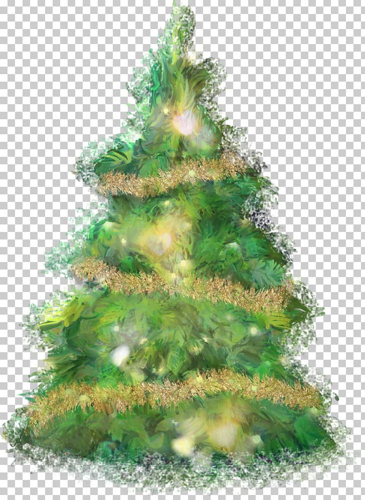 Christmas Tree Spruce Fir Pine PNG, Clipart, Biome, Christmas, Christmas Decoration, Christmas Ornament, Christmas Tree Free PNG Download