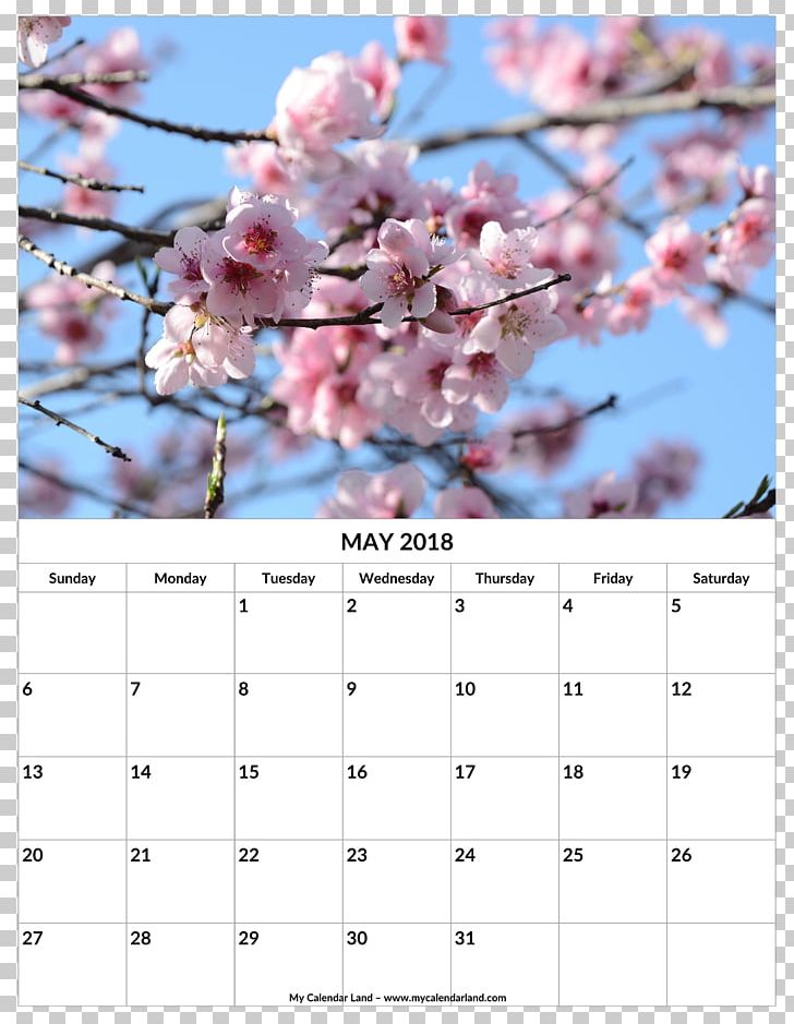 Flower 术数 Zi Wei Dou Shu Artropatia Emofilica 慧真館 PNG, Clipart, Blossom, Branch, Business, Calendar, Cherry Blossom Free PNG Download
