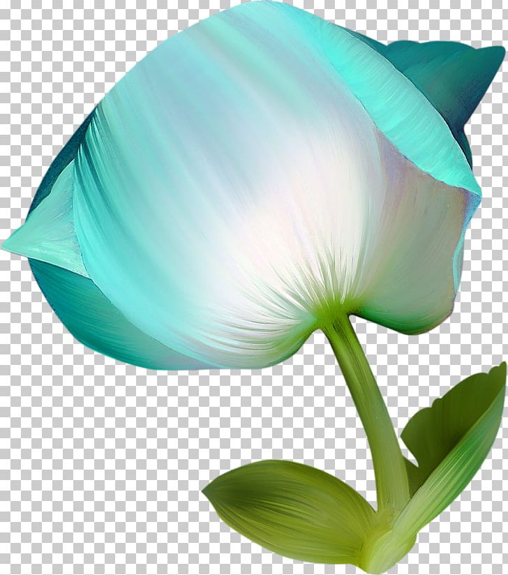 Flower Vecteur PNG, Clipart, Blue Flowers, Cut Flowers, Designer, Flower, Flowering Plant Free PNG Download
