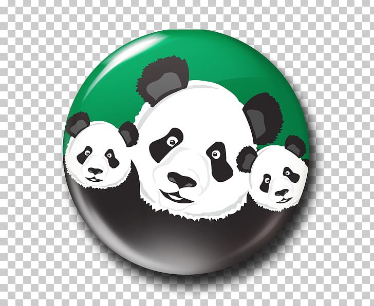 Giant Panda Snout PNG, Clipart, Bear, Carnivoran, Giant Panda, Others, Snout Free PNG Download