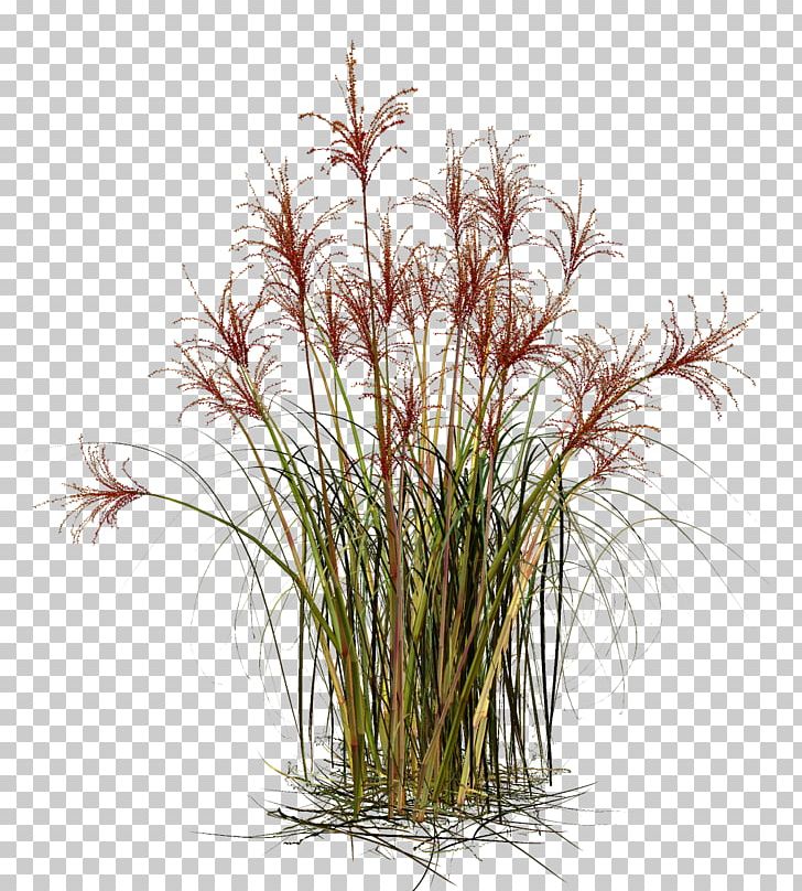 Grasses Straw Material PNG, Clipart, Artificial Grass, Branch, Cartoon Grass, Commodity, Creative Grass Free PNG Download