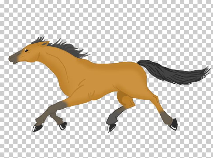 Mustang Foal Stallion Colt Pony PNG, Clipart, Animal Figure, Carnivora, Carnivoran, Cartoon Horse Gallop, Colt Free PNG Download