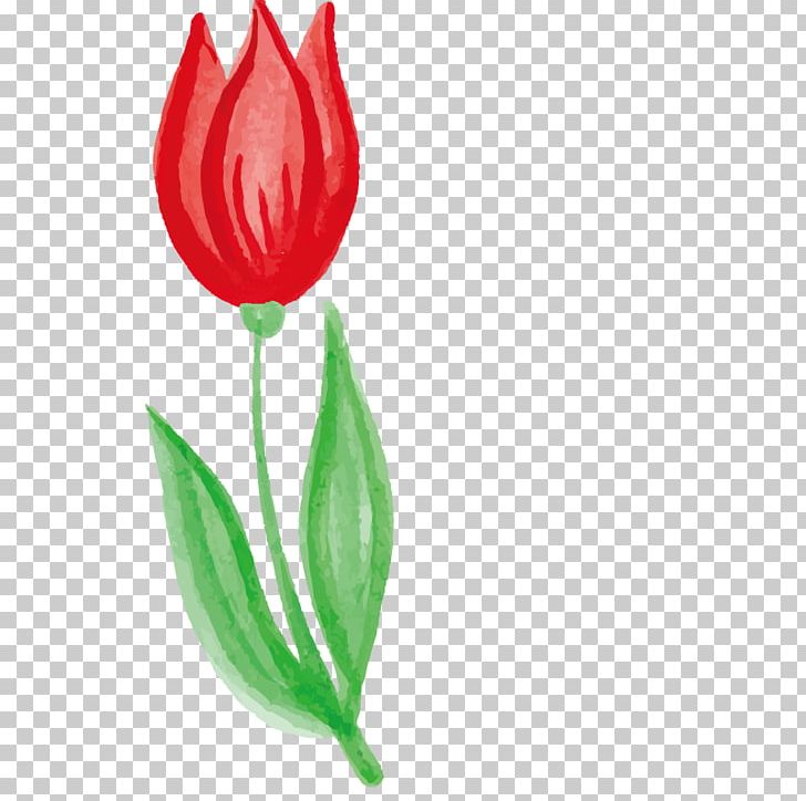 Painting PNG, Clipart, Bud, Cut Flowers, Download, Drawing, Effect Free PNG Download