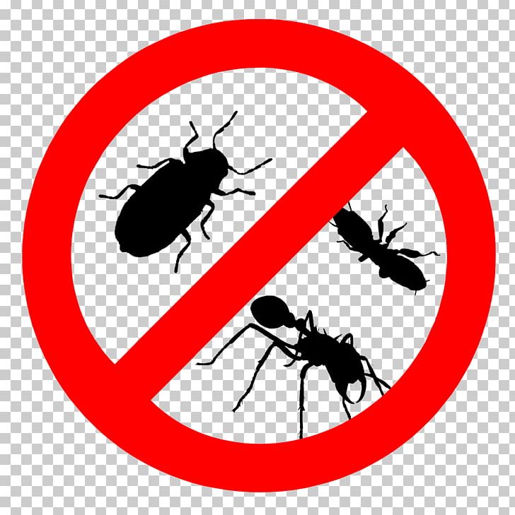 Cockroach Pest Control Bed Bug Termite PNG, Clipart, Animals, Area, Artwork, Bee Removal, Biological Pest Control Free PNG Download