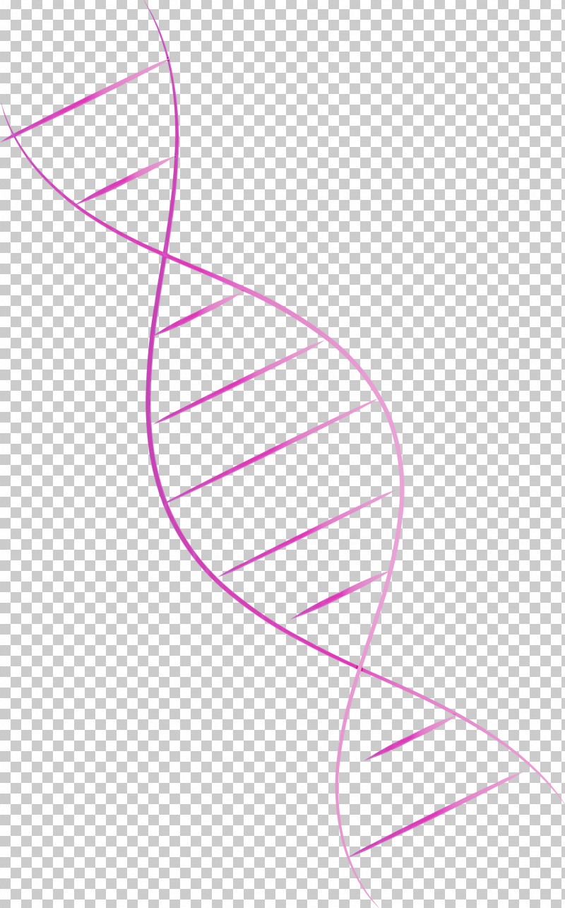 Leaf Angle Line Pattern Pink M PNG, Clipart, Angle, Biology, Leaf, Line, Meter Free PNG Download