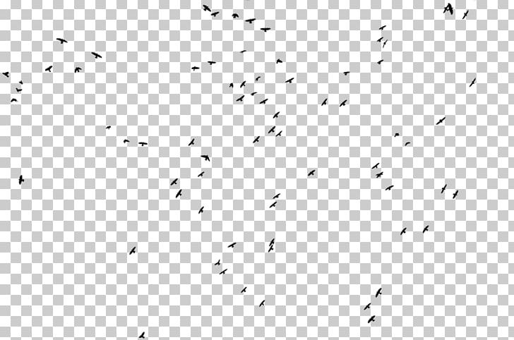 Bird Animal Migration Flock Black And White PNG, Clipart, Angle, Animal Migration, Animals, Area, Beak Free PNG Download