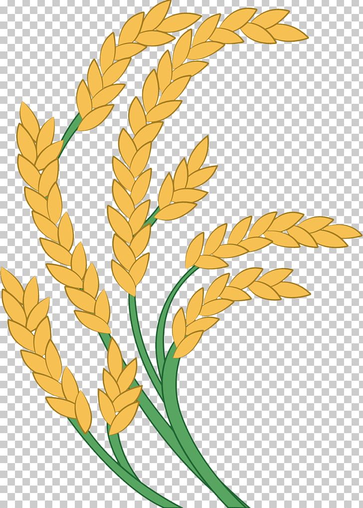 Rice Paddy Field Icon PNG, Clipart, Adobe Illustrator, Commodity, Encapsulated Postscript, Euclidean Vector, Flower Free PNG Download