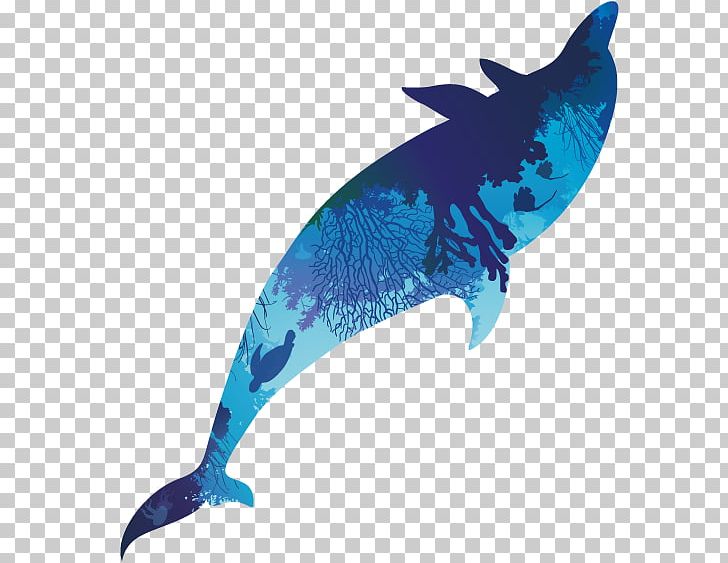 Dolphin Cobalt Blue Marine Biology Turquoise PNG, Clipart, Animals, Biology, Blue, Body Parts, Building Free PNG Download