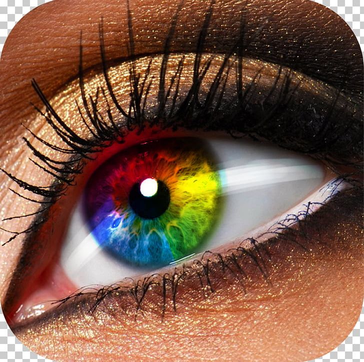 Eye Shadow Cosmetics Makeover Eye Color PNG, Clipart, Changer, Closeup, Color, Colorful, Cosmetics Free PNG Download