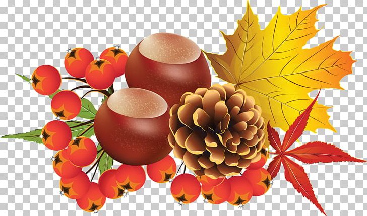 Desktop Autumn PNG, Clipart, Autumn, Desktop Wallpaper, Digital Image, Display Resolution, Flower Free PNG Download