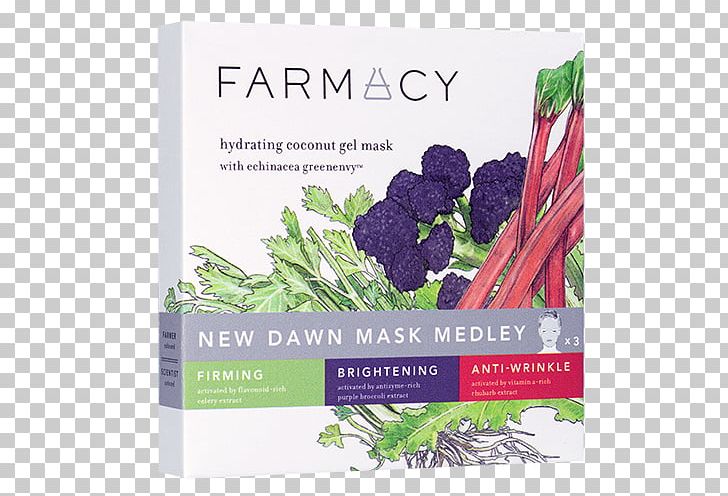 Farmacy BRIGHTENING Coconut Gel Mask Farmacy Honey Potion Antioxidant Renewing And Hydrating Mask The Face Shop Real Nature Face Mask Acai Berry Herb PNG, Clipart, Antiaging Cream, Brand, Face Shop, Food, Fresh Coconut Free PNG Download