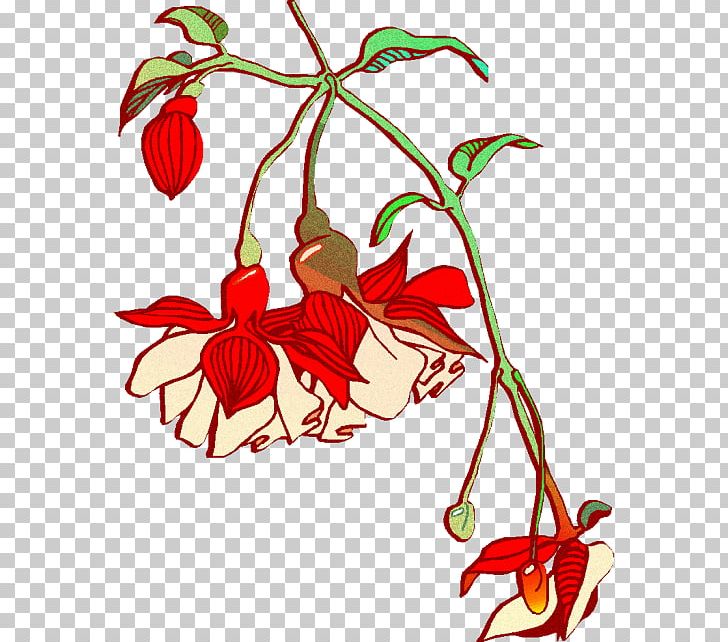 Floral Design Cut Flowers Plant Leaf PNG, Clipart, Art, Bloom, Branch, Copyright, Cut Flowers Free PNG Download