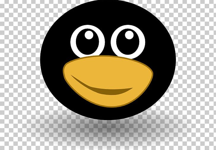 Little Penguin Bird PNG, Clipart, Beak, Bird, Cartoon, Drawing, Emoticon Free PNG Download