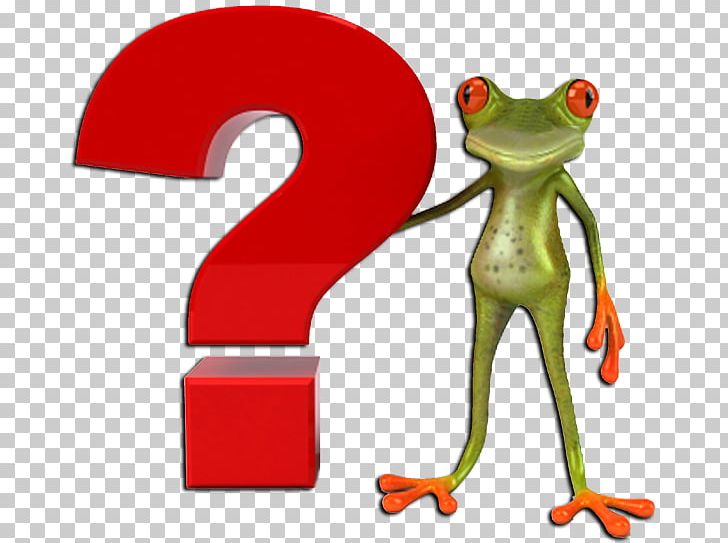 Tree Frog PNG, Clipart, Ask, Clip Art, Question, Tree Frog Free PNG Download