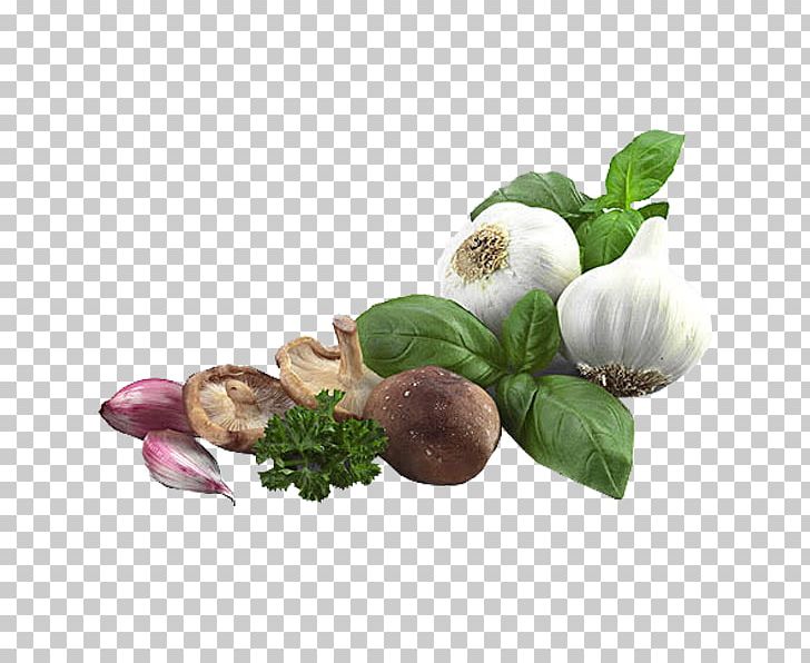 Zhangqiu District Vegetable Garlic Allium Fistulosum Leaf PNG, Clipart, Alternative Medicine, Dish, Dishes, Food, Google Images Free PNG Download
