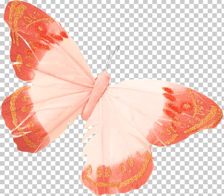 Butterfly Apollo PNG, Clipart, Animal, Arthropod, Beautiful Butterfly, Blue Butterfly, Butterflies Free PNG Download