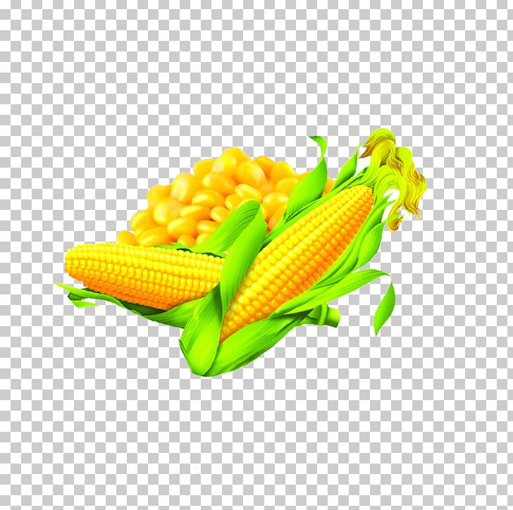 Corn On The Cob Maize Corn Oil Food PNG, Clipart, Cartoon Corn, Combine Harvester, Commodity, Corn, Corn Cartoon Free PNG Download