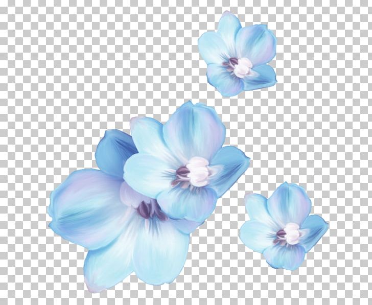 Mallows Cut Flowers Petal PNG, Clipart, Blue, Cicekler, Cut Flowers, Family, Flower Free PNG Download