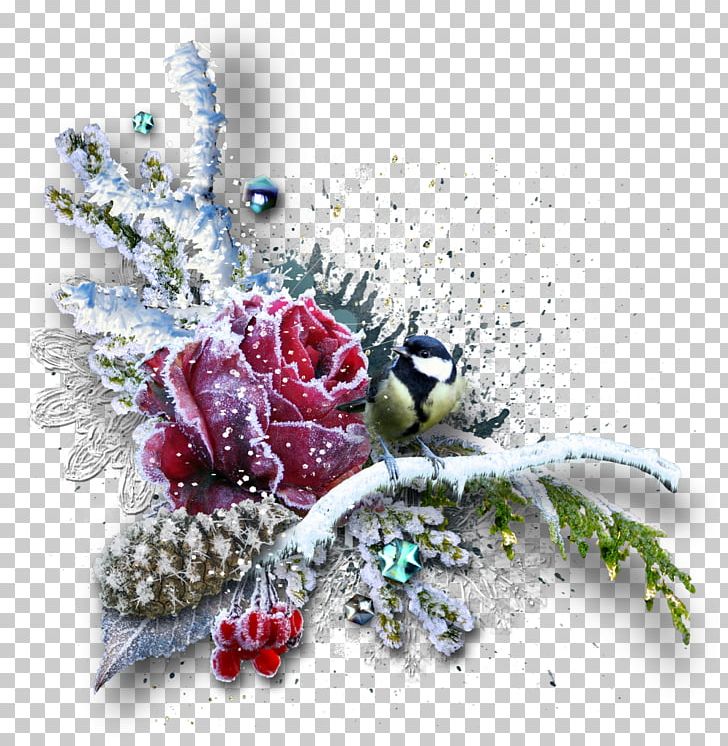 Christmas Flower Frames Polyvore PNG, Clipart, Christmas, Christmas Ornament, Flower, Holidays, Joulukukka Free PNG Download