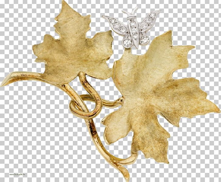 Leaf Прикраса Brooch PNG, Clipart, Brooch, Elephantidae, Jewellery, Leaf, Megabyte Free PNG Download