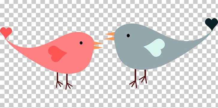 Lovebird PNG, Clipart, Bird, Clip Art, Lovebird Free PNG Download