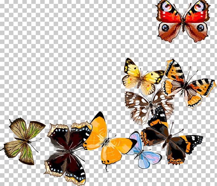 Butterfly Digital Art PNG, Clipart, Animation, Arthropod, Brush Footed Butterfly, Butterfly, Circle Free PNG Download