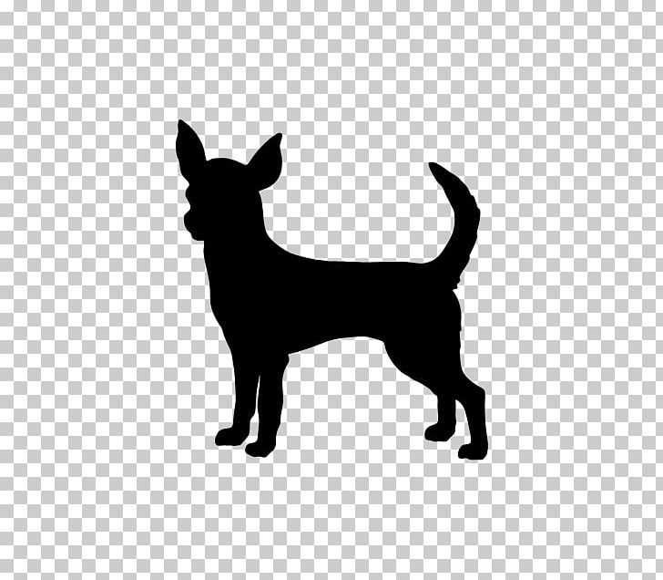 Chihuahua Chinese Crested Dog Puppy PNG, Clipart, Animals, Black, Black And White, Carnivoran, Chihuahua Free PNG Download