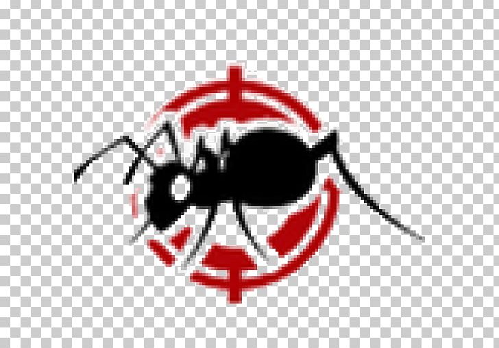 Premier Pest Management Inc. Southwest Florida Pest Control Ladybird Beetle PNG, Clipart, Arthropod, Business, Florida, Headgear, Insect Free PNG Download