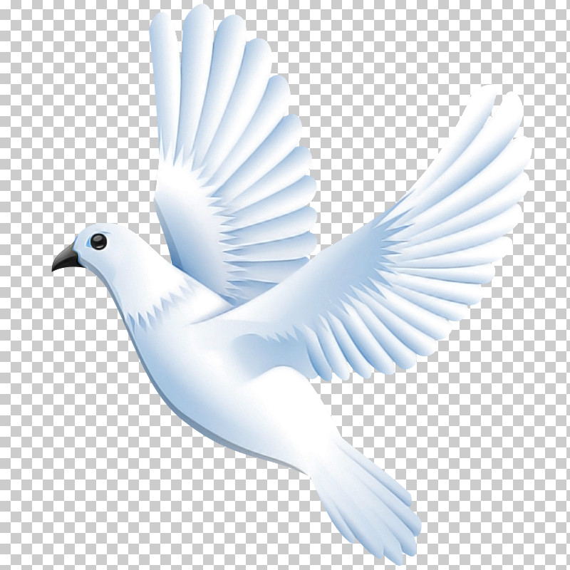 Feather PNG, Clipart, Beak, Bird, Feather, Peace, Perching Bird Free PNG Download