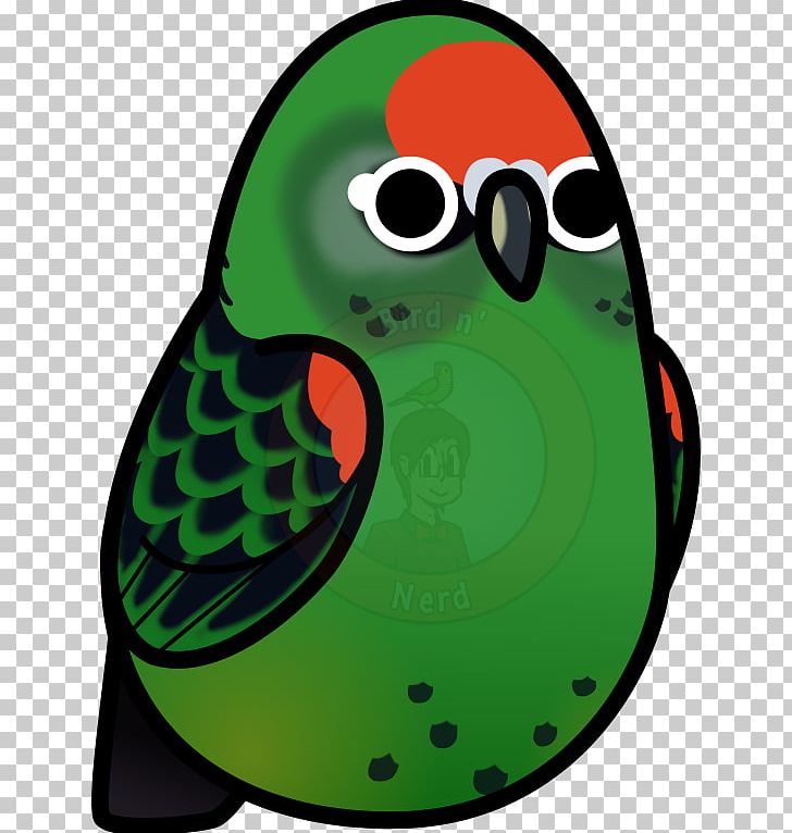 Beak Amphibian Green Illustration PNG, Clipart, Amphibian, Animals, Beak, Bird, Green Free PNG Download
