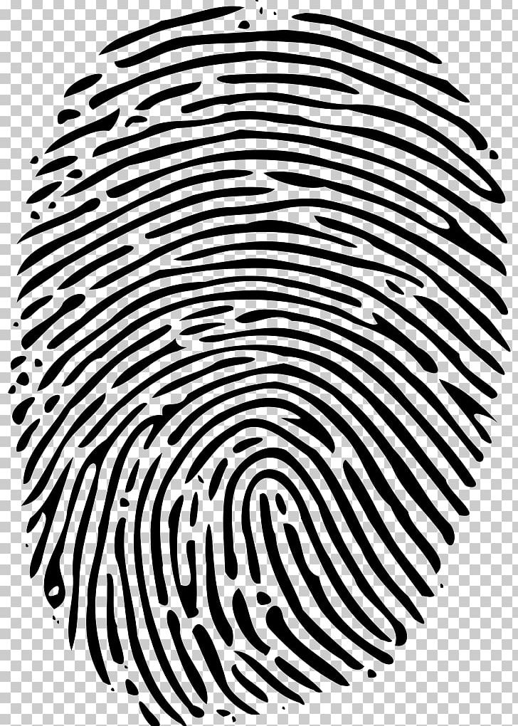 Fingerprint Human Resources Organization Book Management PNG, Clipart, Black, Black And White, Business, Circle, Fingerprint Free PNG Download