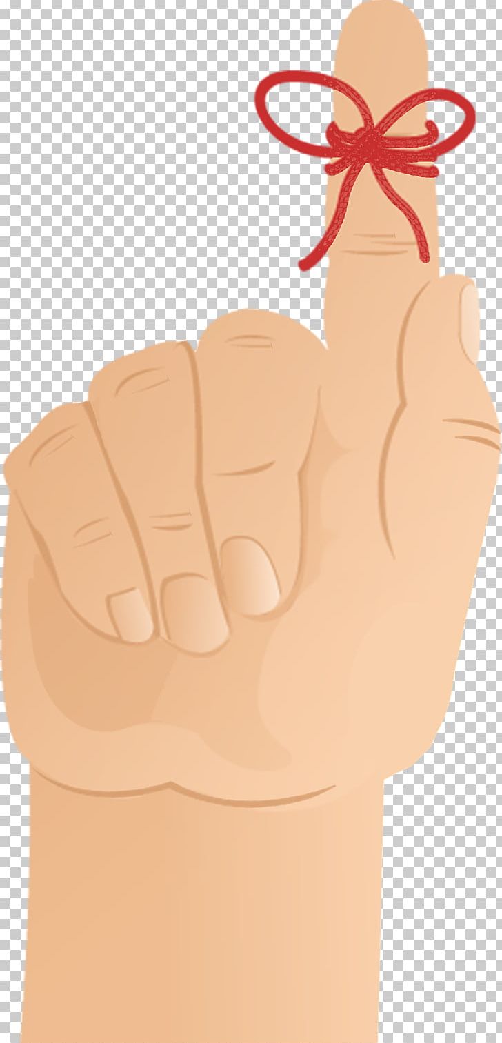 Index Finger Thumb PNG, Clipart, Arm, Finger, Fingers, Hand, Hand Model Free PNG Download