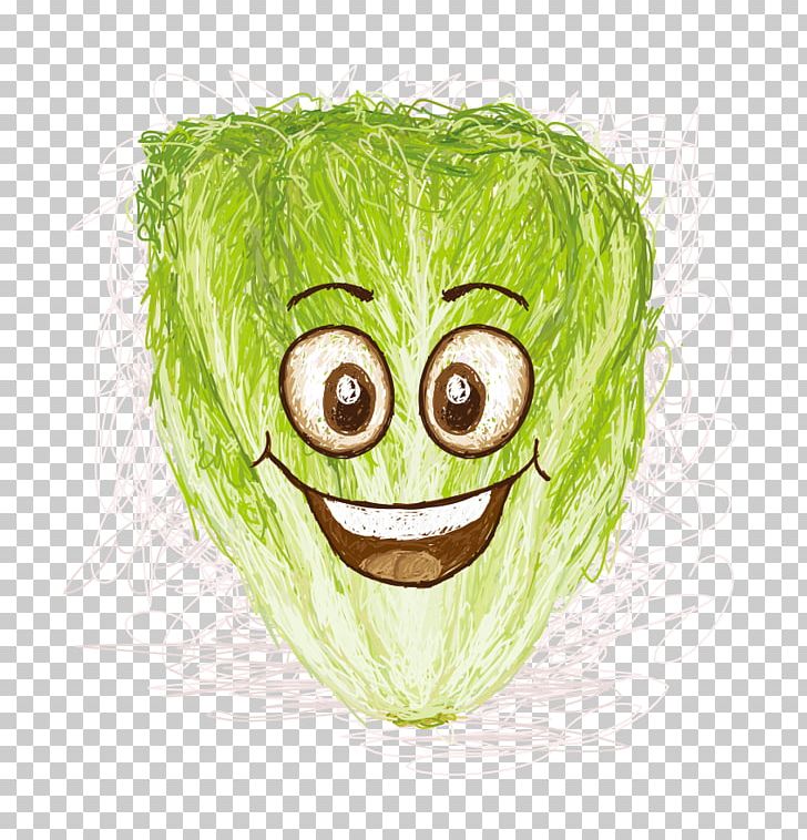 Lettuce Smile Cartoon Illustration PNG, Clipart, Cabbage, Cabbage Vector, Cartoon, Chayote, Expression Free PNG Download