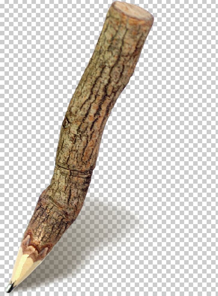 Bark Tree Pencil PNG, Clipart, Autumn Leaf Color, Business, Chemical Element, Christmas Tree, Coconut Tree Free PNG Download