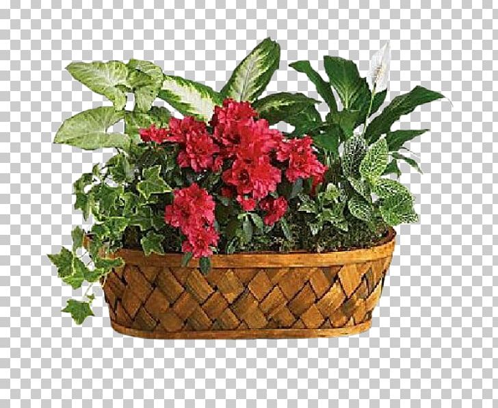 Flower Delivery Teleflora Floristry Plants PNG, Clipart, Annual Plant, Basket, Cut Flowers, Floral Design, Floristry Free PNG Download