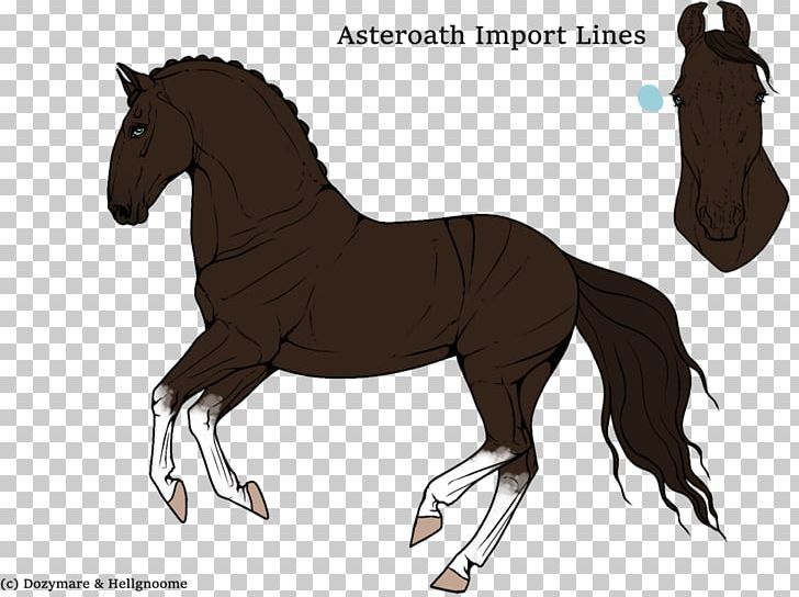 Foal Stallion Mare Mustang Colt PNG, Clipart, Bridle, Cartoon, Colt, Farewell, Foal Free PNG Download