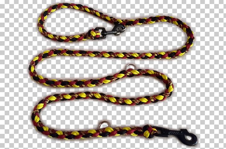 Leash Rope Parachute Cord Chain Reptile PNG, Clipart, Body Jewellery, Body Jewelry, Chain, Color, Euro Free PNG Download