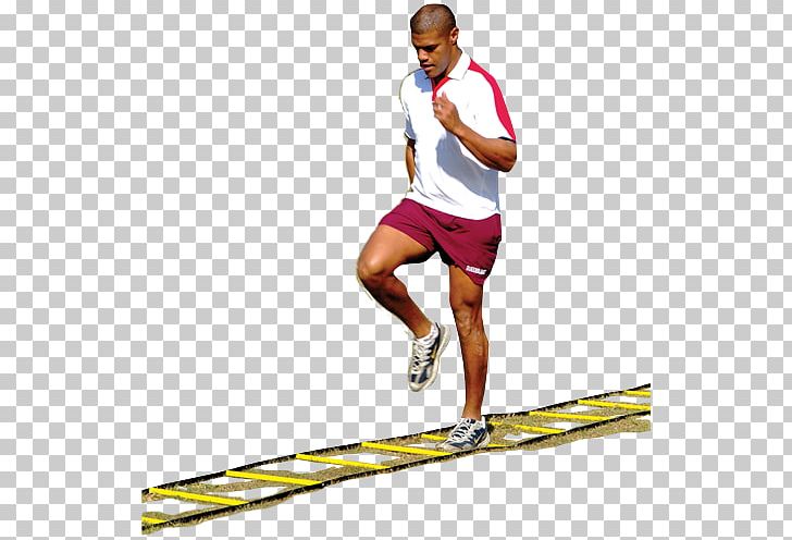 Sportswear Decathlon Group Athlete Physical Fitness Line PNG, Clipart, Arm, Athlete, Athletics, Decathlon, Decathlon Group Free PNG Download