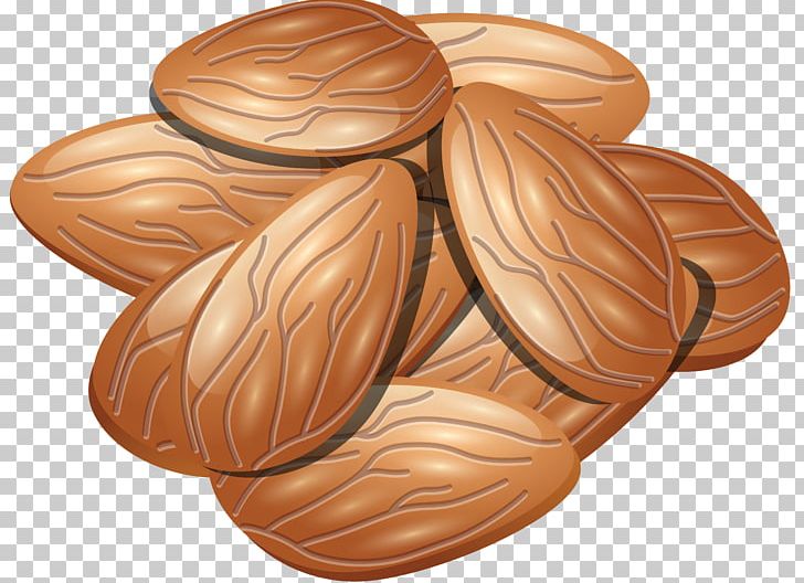 Almond PNG, Clipart, Almond Free PNG Download