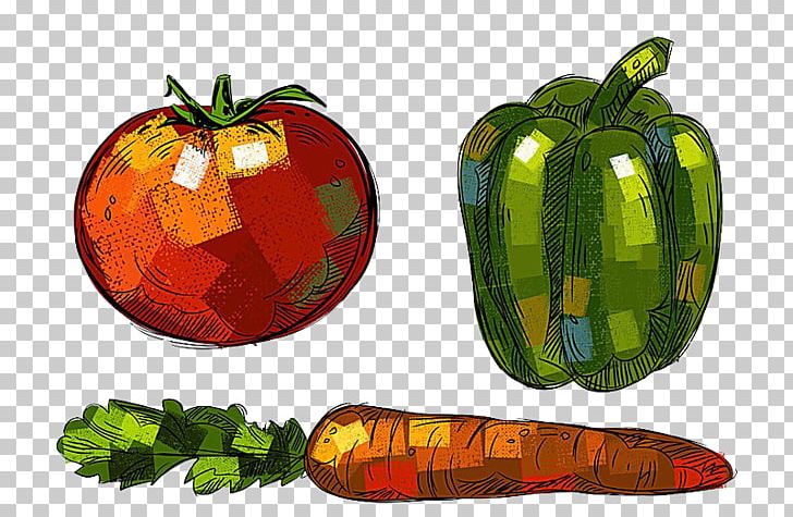 Bell Pepper Gourd Vegetable Drawing PNG, Clipart, Background Green, Bell Pepper, Bell Peppers And Chili Peppers, Chili Pepper, Drawing Free PNG Download