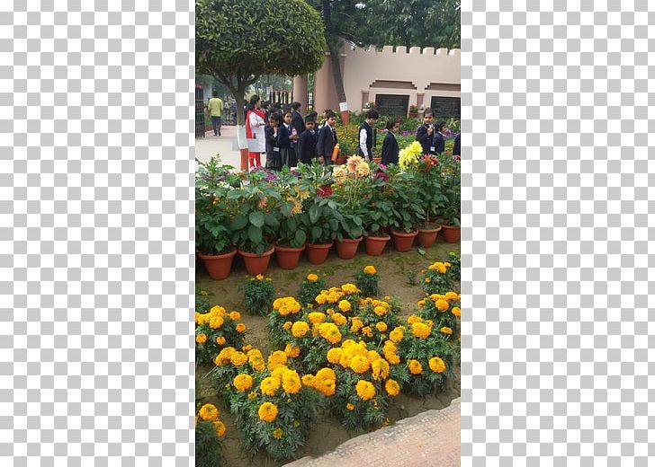 Cms Mahanagar Campus City Montessori School Content Management System Student PNG, Clipart, Annual Plant, Botanical Garden, Campus, Campus Environment, City Montessori School Free PNG Download