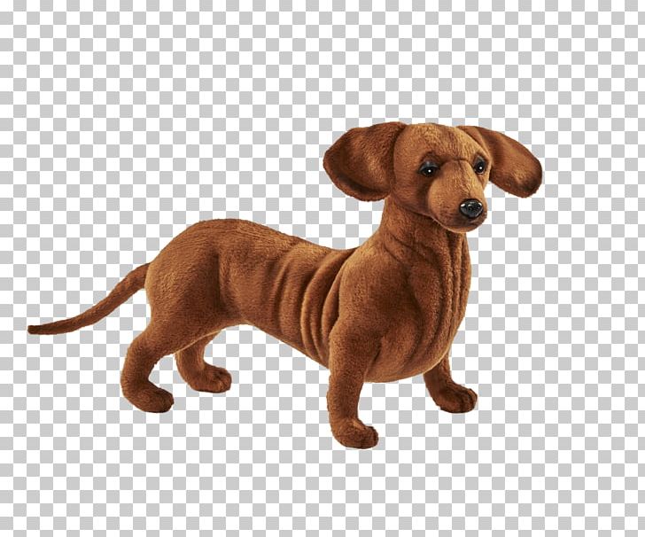 Dog Breed Dachshund Puppy Companion Dog Stuffed Animals & Cuddly Toys PNG, Clipart, Animals, Breed, Bulldog, Carnivoran, Companion Dog Free PNG Download
