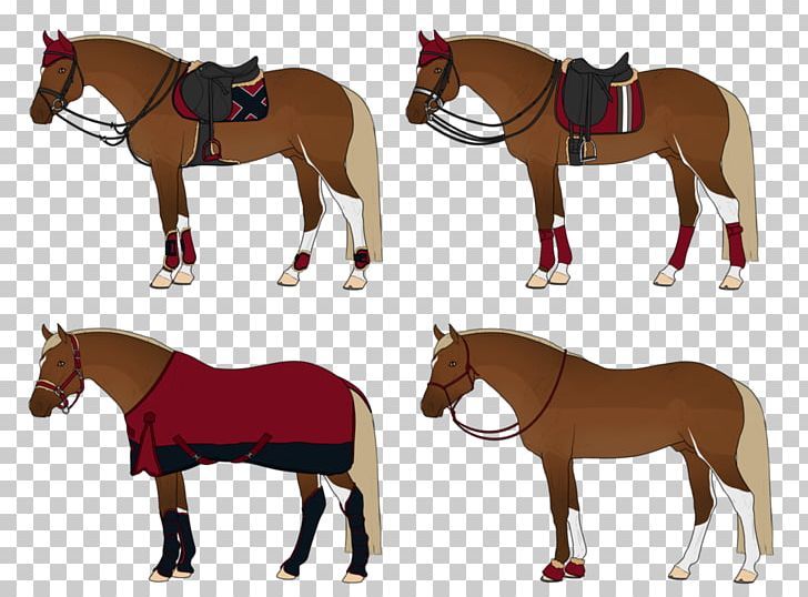 Mustang Stallion Foal Pony Mare PNG, Clipart, Bridle, Colt, Foal, Halter, Horse Free PNG Download