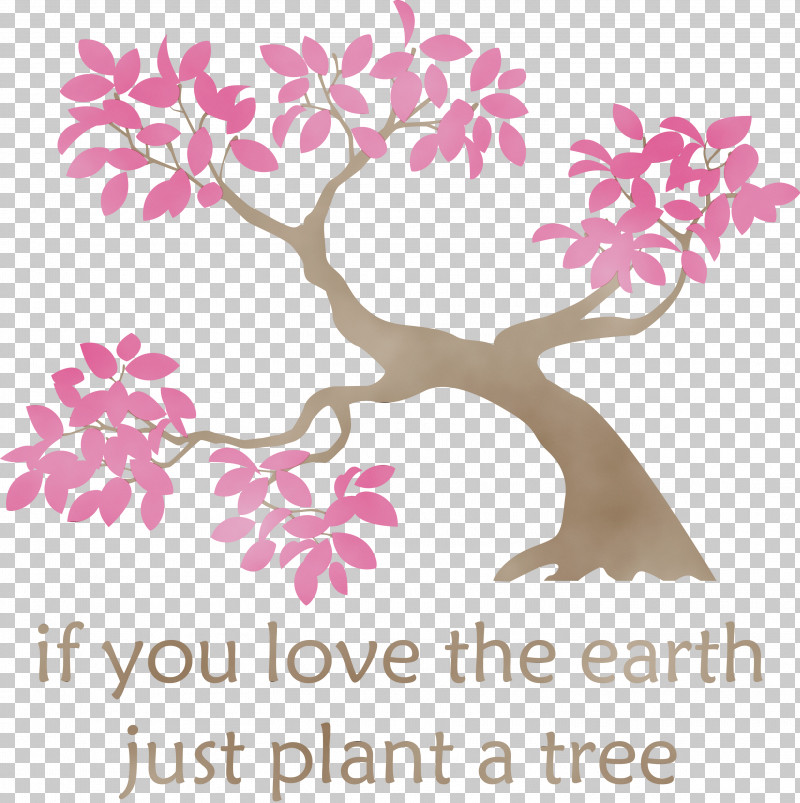 Tree Flower Twig Plant Stem Trunk PNG, Clipart, Arbor Day, Bird Of Paradise Flower, Branch, Computer, Computer Font Free PNG Download