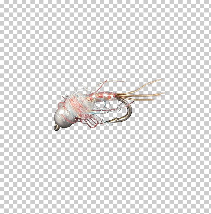 Holly Flies Fly Midge Head Product Discounts And Allowances PNG, Clipart,  Free PNG Download