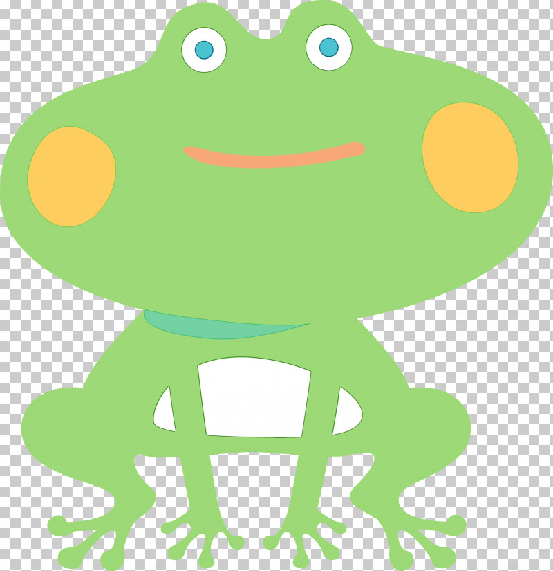 True Frog Frogs Toad Tree Frog Cartoon PNG, Clipart, Cartoon, Frog, Frogs, Line, Meter Free PNG Download