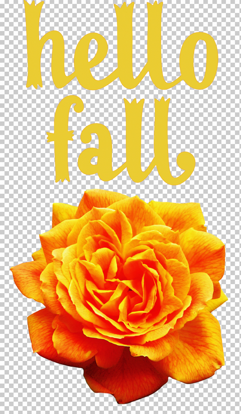 Hello Fall Fall Autumn PNG, Clipart, Autumn, Cut Flowers, Data, Drawing, Fall Free PNG Download