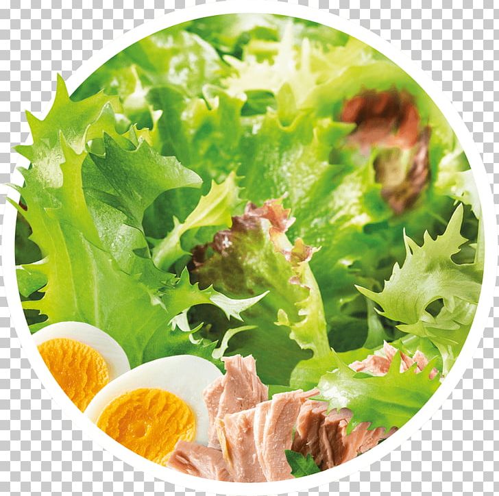 Caesar Salad Vegetarian Cuisine Romaine Lettuce Crudités Vinaigrette PNG, Clipart, Caesar Salad, Cheese, Crudites, Dish, Egg Free PNG Download