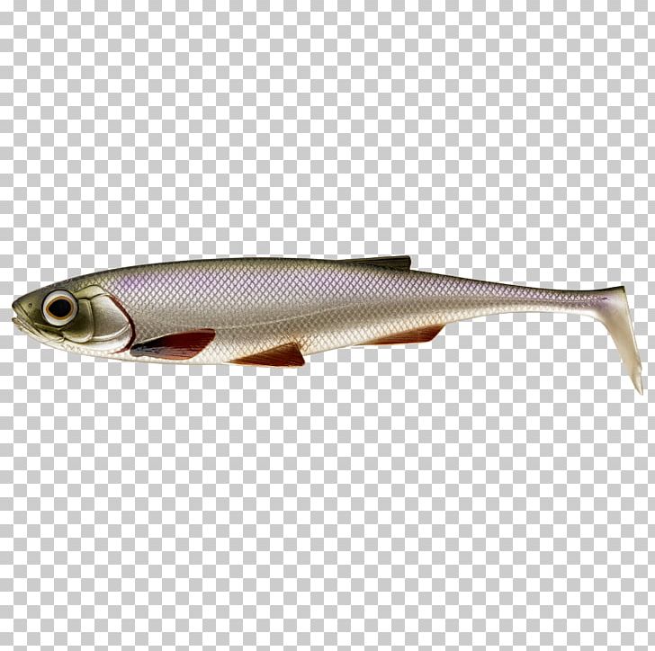 Globeride Fishing Baits & Lures Soft Plastic Bait Fishing Rods PNG, Clipart, Angling, Bait, Bony Fish, European Perch, Fish Free PNG Download