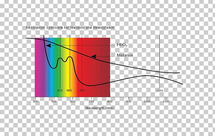 Light Absorption Melanin Hemoglobin Spectrum PNG, Clipart, Absorbance, Absorption, Absorption Spectroscopy, Angle, Biological Pigment Free PNG Download